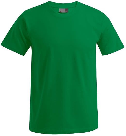 Men’s Premium-T-Shirt, kelly green, Gr. 5XL 