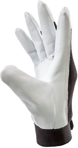 Ziegennappaleder-Handschuh LEPUS, Gr. 10 